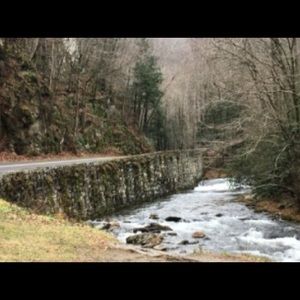 Meet your Posher, Reese